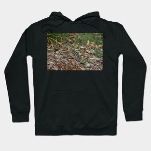 Ground Squirrel Hoodie